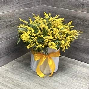 Композиция из мимозы - Весеннее солнце