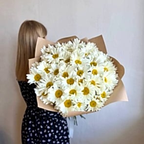 Большие ромашки
